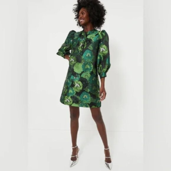Pomander Place Dresses & Skirts - NWT Tuckernuck Pomander Place Green Floral Jacquard Samantha Dress Long Sleeve S